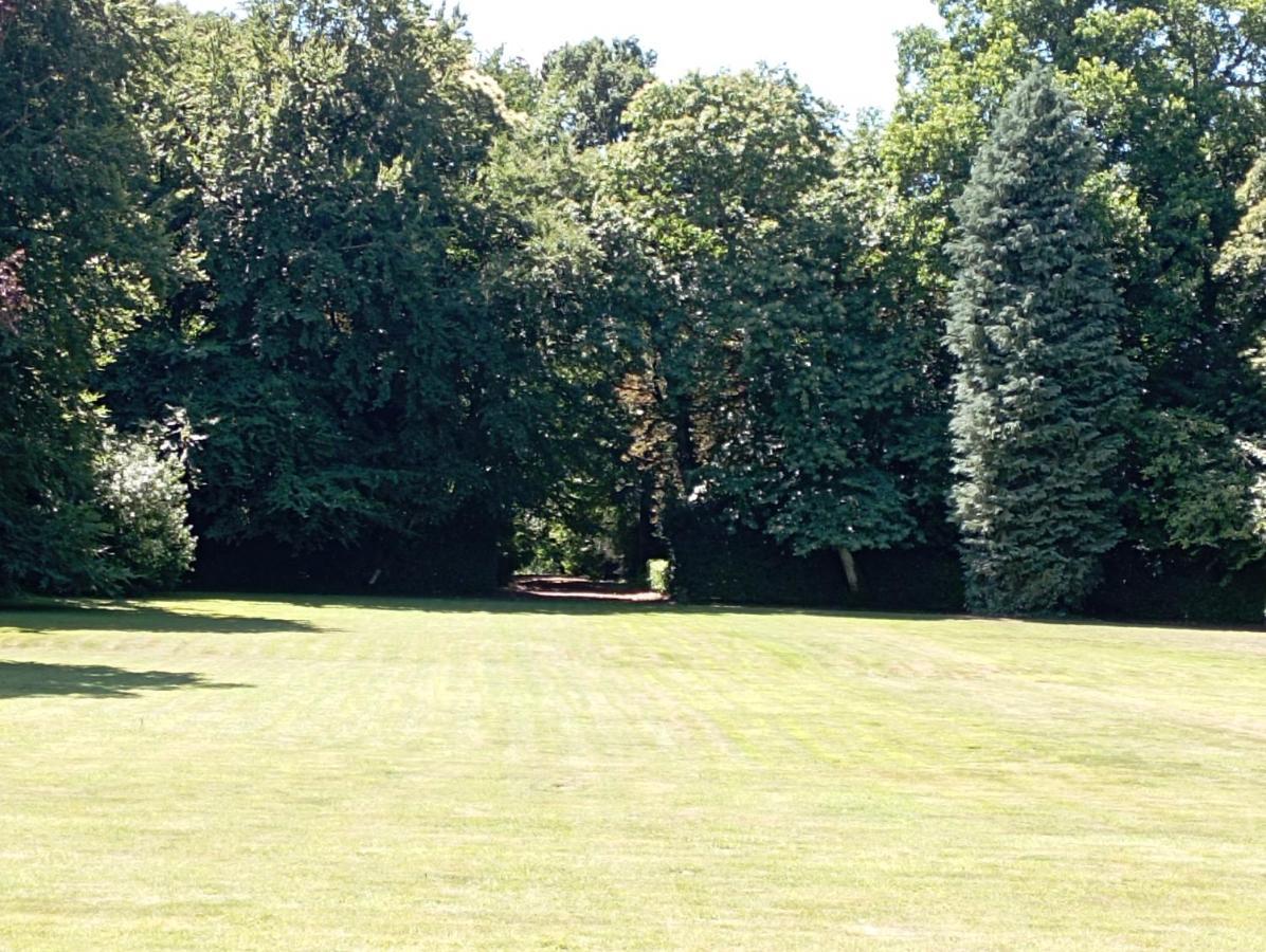 Chateau Du Bois-Riou Quevert Экстерьер фото